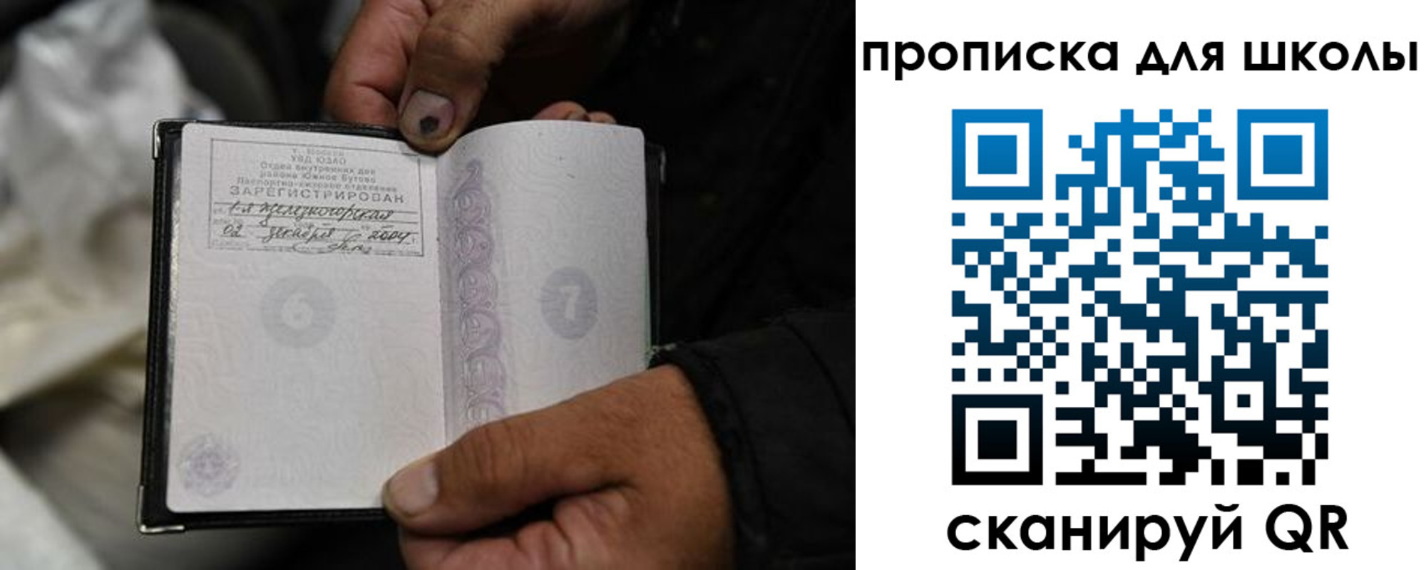 купить прописку в Полярных Зорях